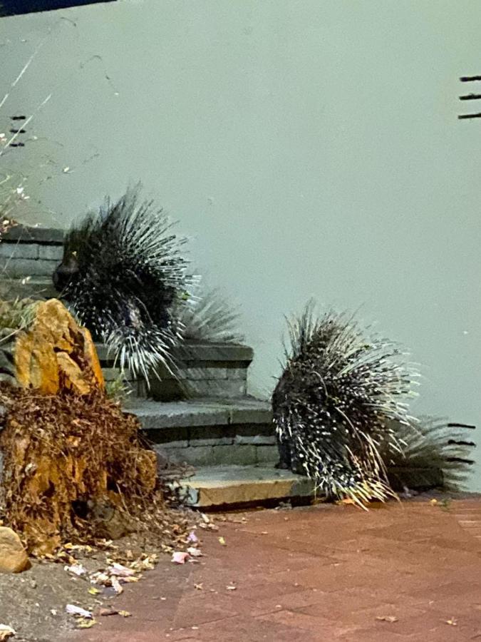 شقة Porcupine Walk بلدة سيمون المظهر الخارجي الصورة