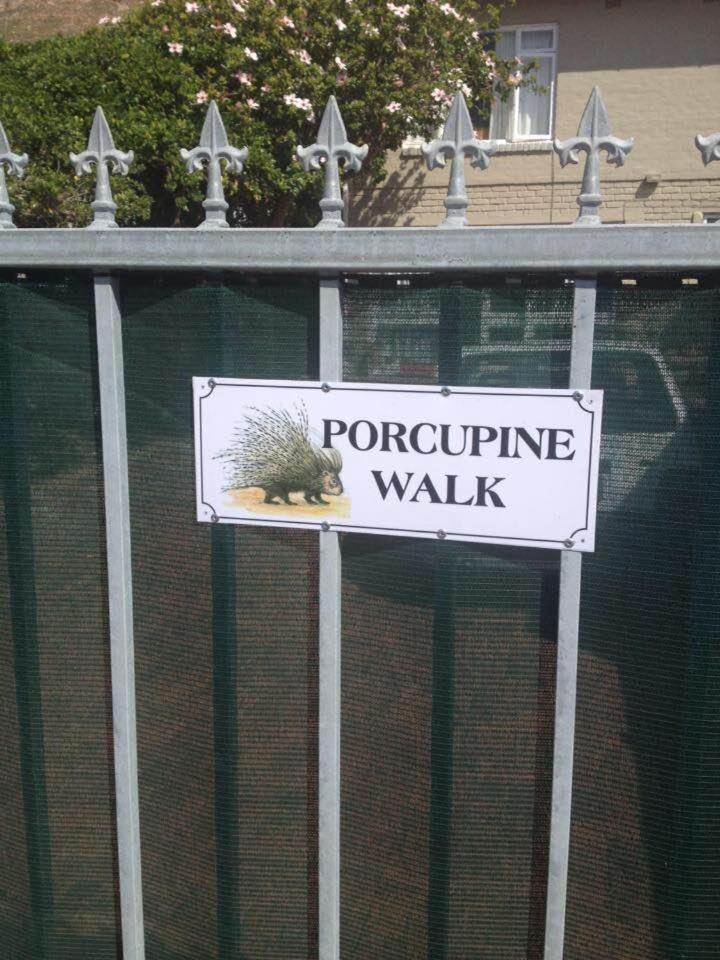 شقة Porcupine Walk بلدة سيمون المظهر الخارجي الصورة
